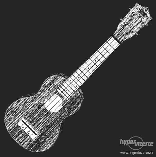 Workshopy ukulele - Stromovka - foto 1