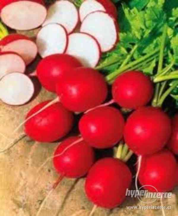 Ředkvička Cherry Belle - semena - foto 1