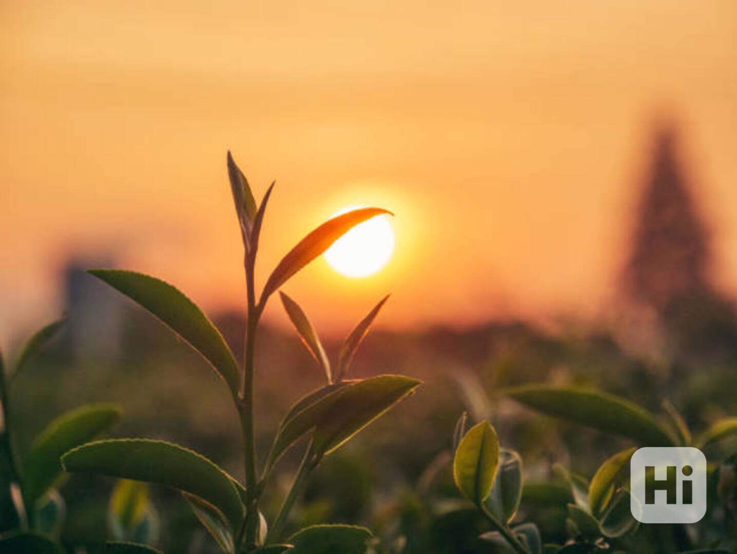 oppo a6x 5g - foto 1