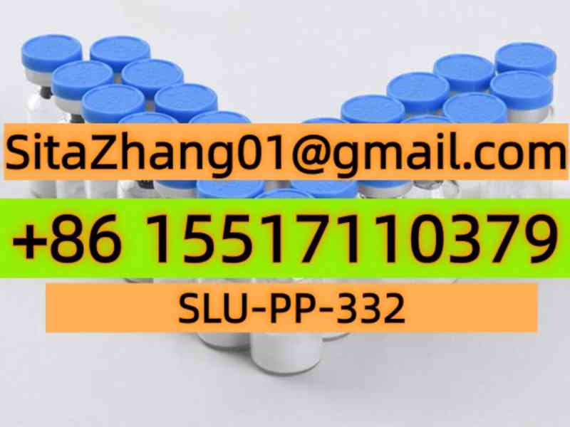 SLU-PP-332 - foto 4