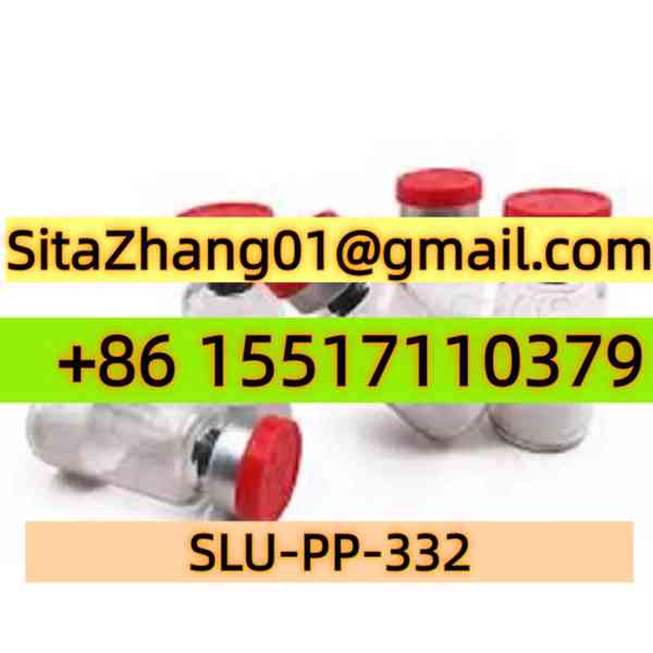 SLU-PP-332 - foto 2