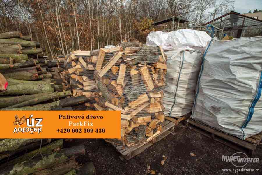 Palivové dřevo - buk, dub, habr, jasan, bříza, smrk - foto 7