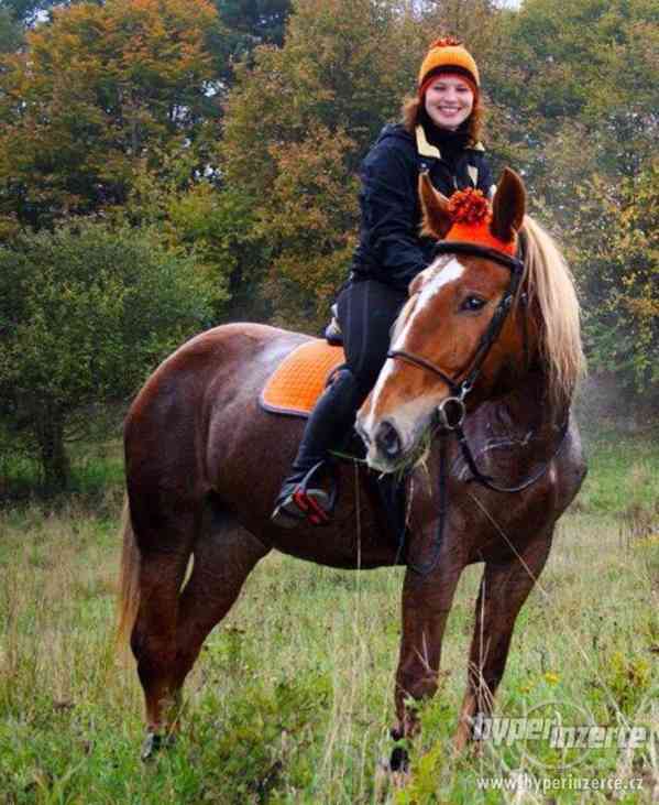 Ručně pletené kulíšky pro koně a jezdce - foto 3