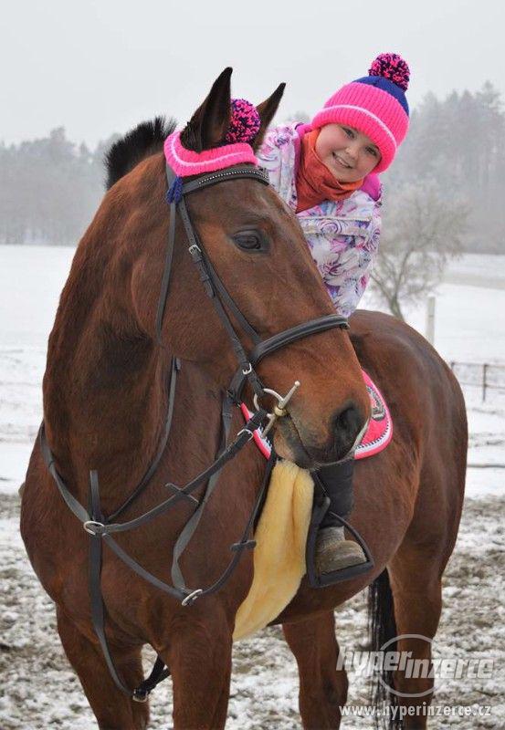Ručně pletené kulíšky pro koně a jezdce - foto 10