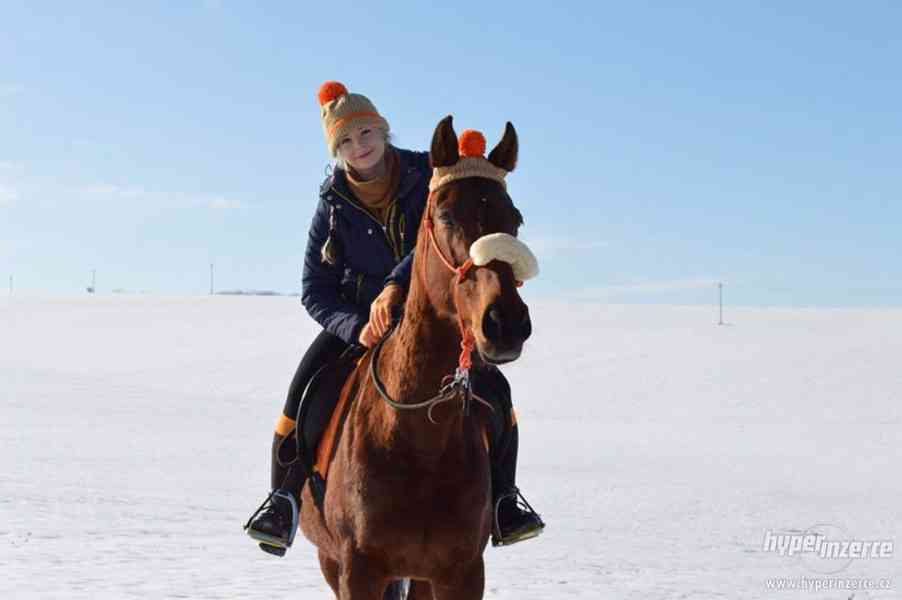 Ručně pletené kulíšky pro koně a jezdce - foto 12