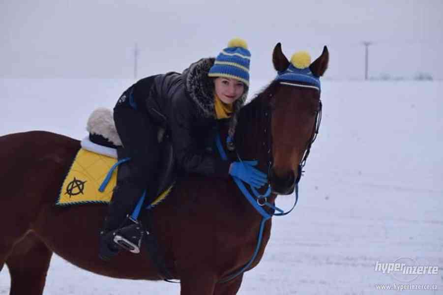 Ručně pletené kulíšky pro koně a jezdce - foto 13