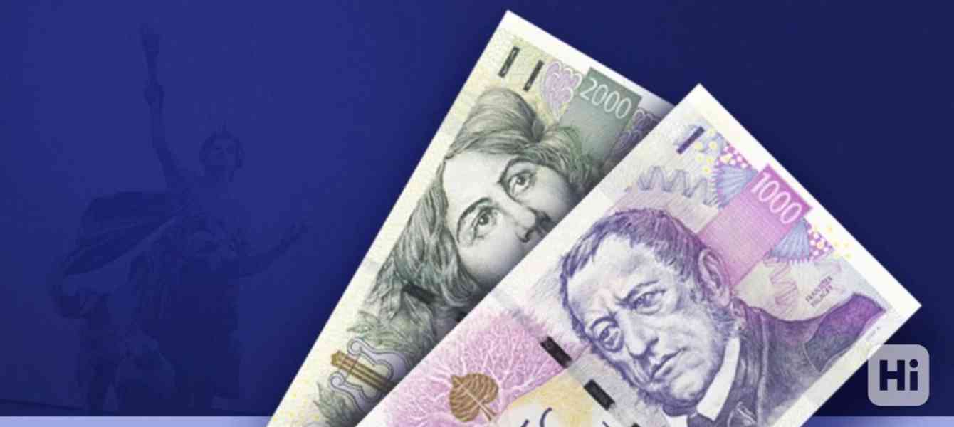 Potřebuji urgentní půjčku.