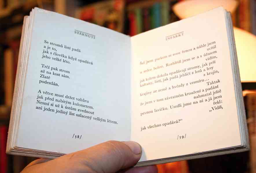 Milan Kundera - MONOLOGY (nejlevněji) - foto 6