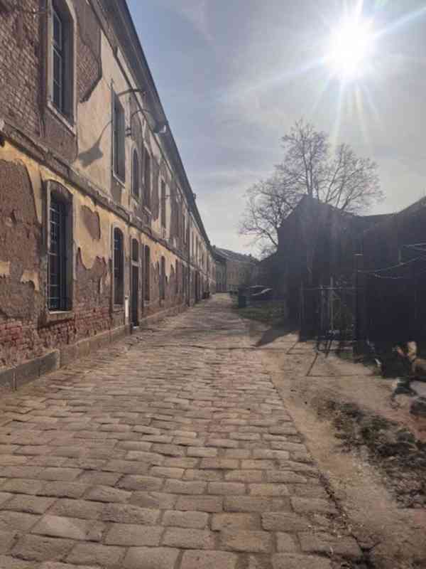 Jaroměř - Josefov: Byt 2+1 se zahrádkou a pergolou - foto 5