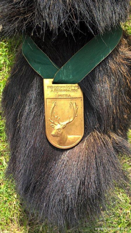 Hlava muflona - zlatá medaile - foto 2