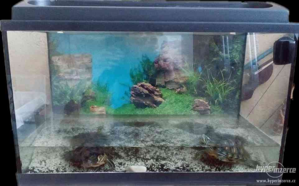 Akvárium 60L s vybavením +2 želvy - foto 1