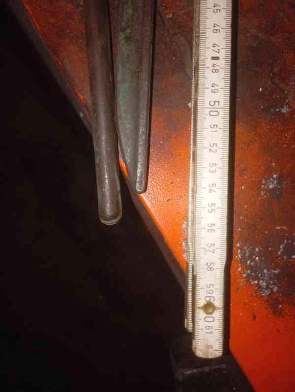 hasák velký - foto 3