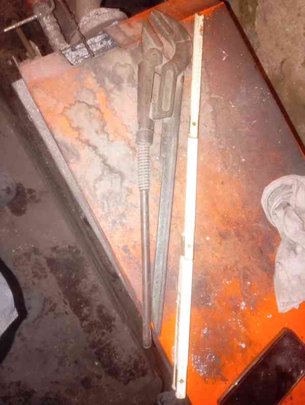 hasák velký - foto 2