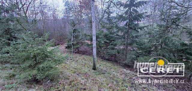 Prodej pozemků (zahrady) s výměrou 4986 m?, Žatec - foto 6