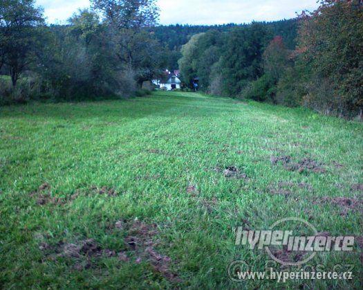 V okrese Plzeň-sever prodám hospodářský pozemek - foto 2