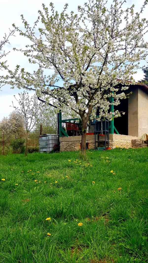 Prodej BIO zahrady s chatou – 1820 m², Lipník nad Bečvou - foto 9