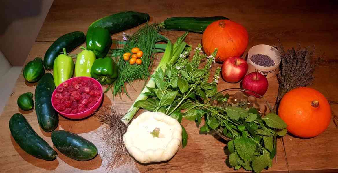 Prodej BIO zahrady s chatou – 1820 m², Lipník nad Bečvou - foto 14