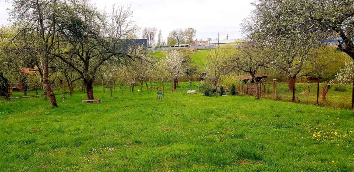 Prodej BIO zahrady s chatou – 1820 m², Lipník nad Bečvou - foto 15