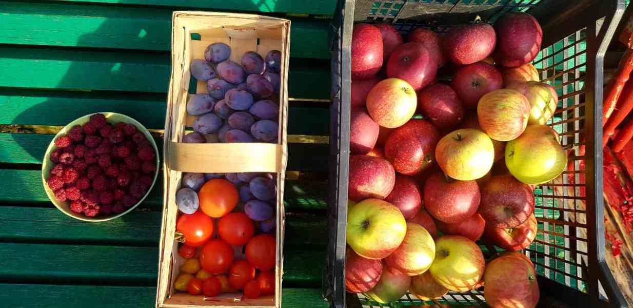 Prodej BIO zahrady s chatou – 1820 m², Lipník nad Bečvou - foto 13