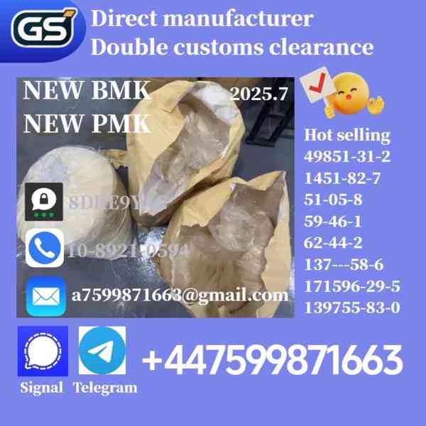 New bmk powder,pmk powder Powder,CAS NO:1451-82-7,49851-31-2 - foto 2