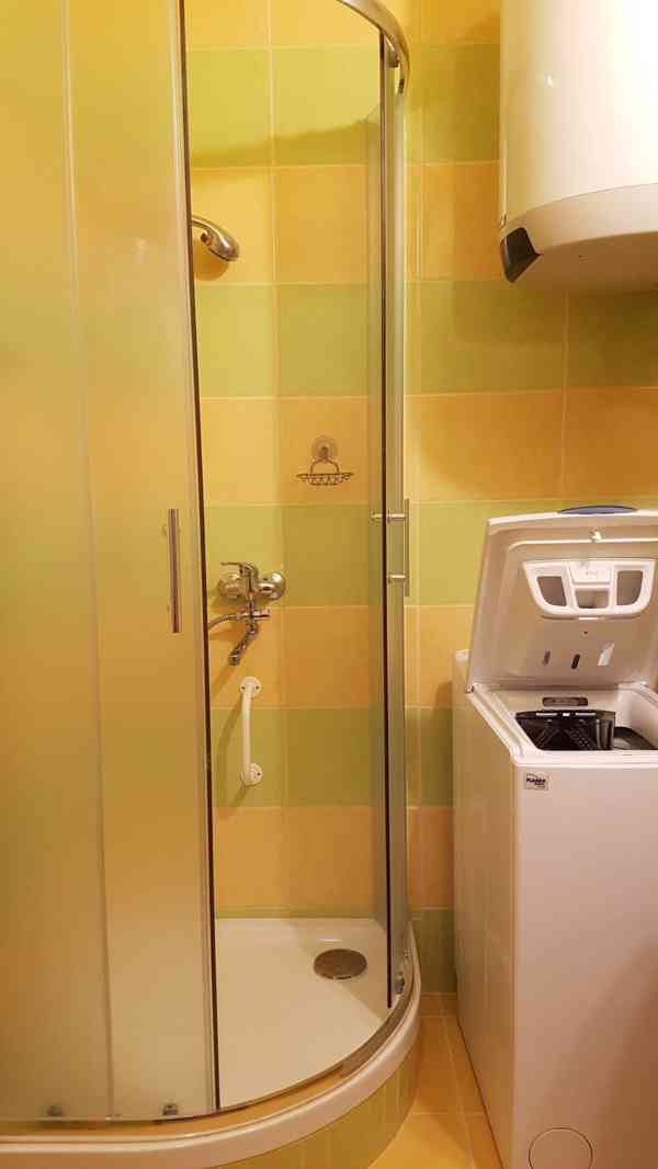 Pronájem, Byty 1+1, 42m² - Luže - foto 6