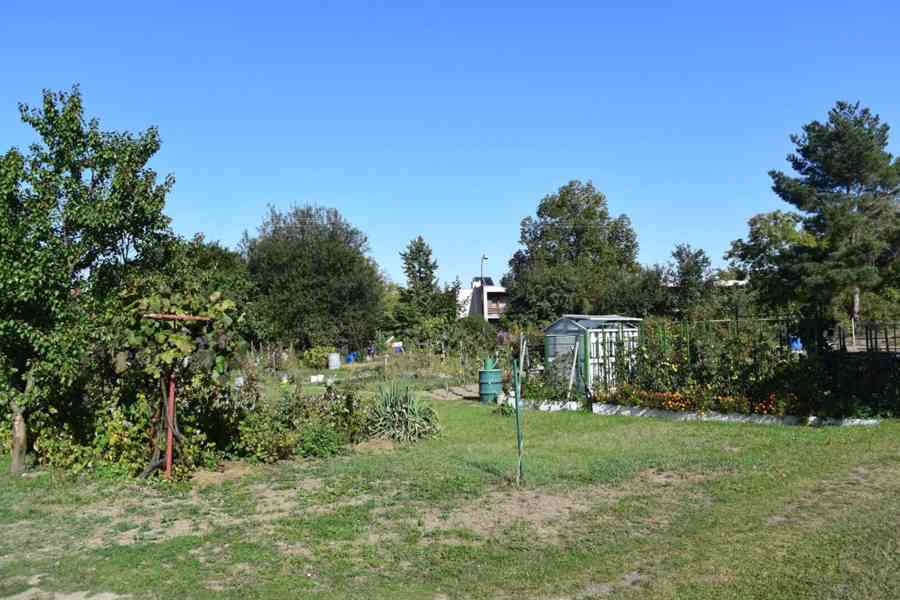 Pronájem, Byty 1+1, 42m² - Luže - foto 10