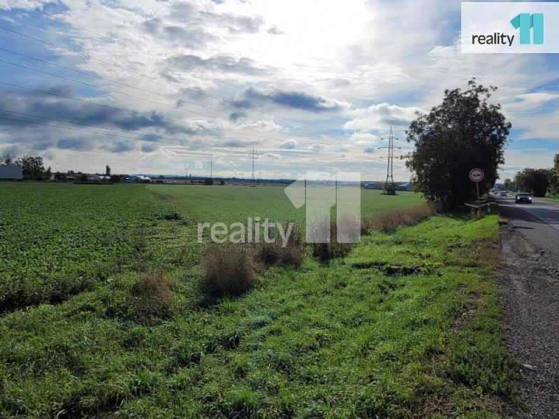 Prodej pozemků 39 800m2, Hradec Králové - Plotiště nad Labem - foto 4