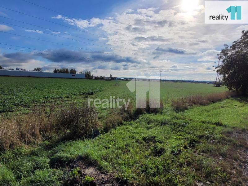 Prodej pozemků 39 800m2, Hradec Králové - Plotiště nad Labem - foto 5