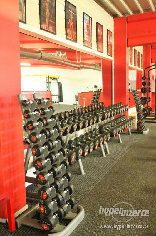 Prodej zavedeného fitness centra Fitness Mania Gym, 1100m2 - foto 11