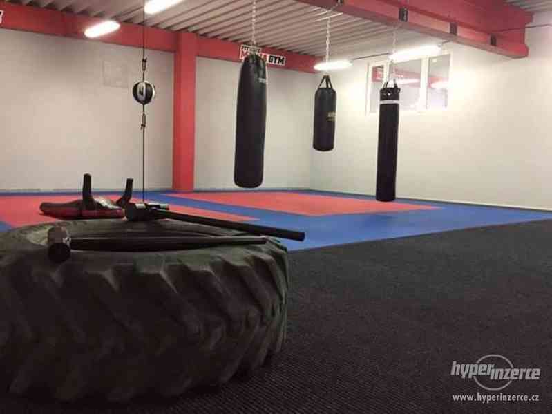 Prodej zavedeného fitness centra Fitness Mania Gym, 1100m2 - foto 12