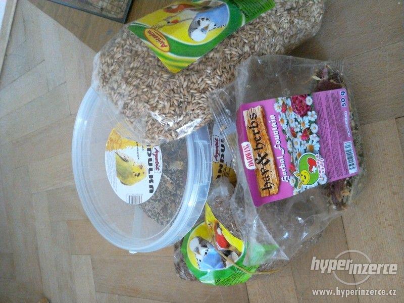 Ručně dělaná klec na osmáka degu - foto 8