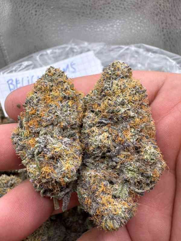 Telegram {@rey662} Buy Weed in Olomouc - foto 1