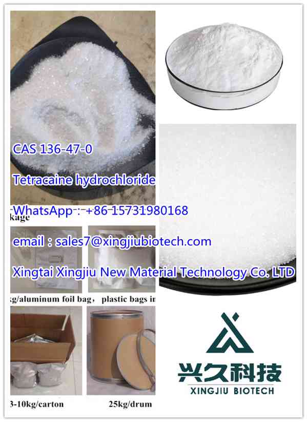 High Quality Tetracaine hydrochloride CAS：136-47-0