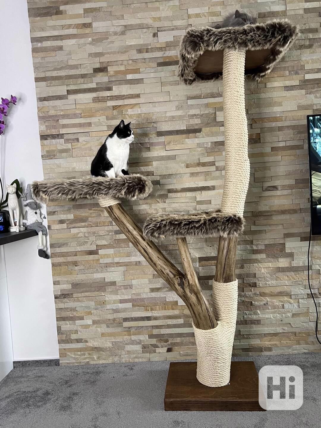 Škrabadlo pro velké kočky  - foto 1