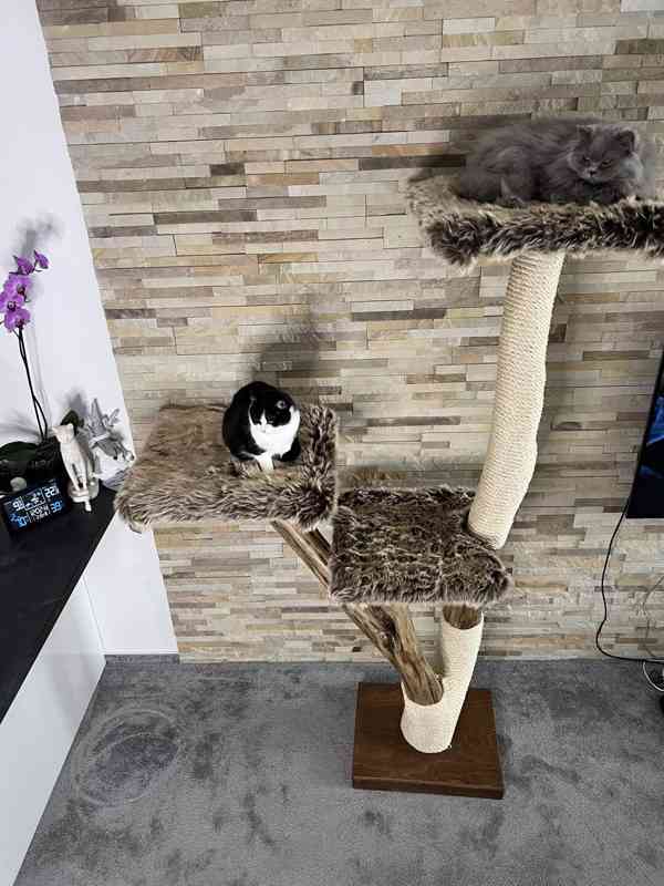 Škrabadlo pro velké kočky  - foto 3