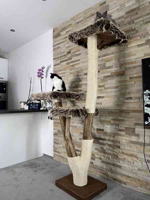 Škrabadlo pro velké kočky  - foto 2