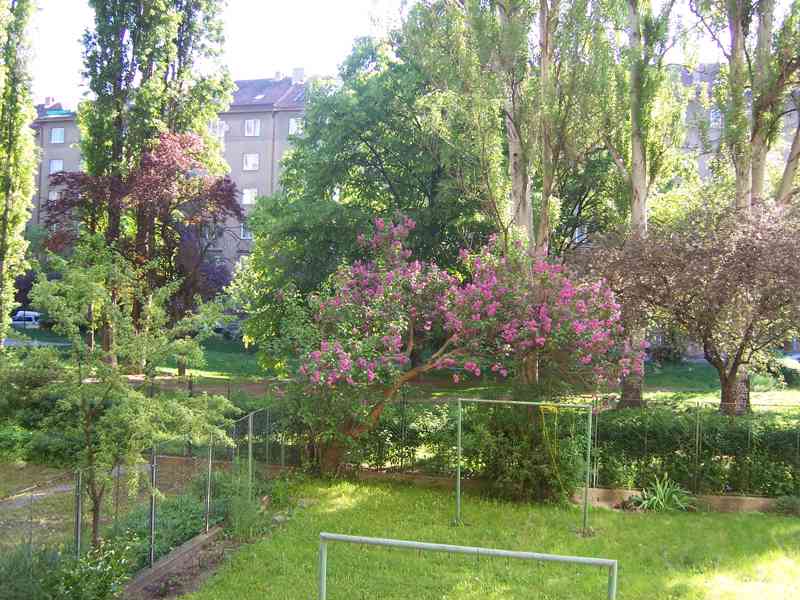 Pronájem bytu 1+1 v Brně, ul. Botanická - foto 2