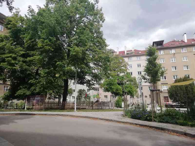 Pronájem bytu 1+1 v Brně, ul. Botanická - foto 13