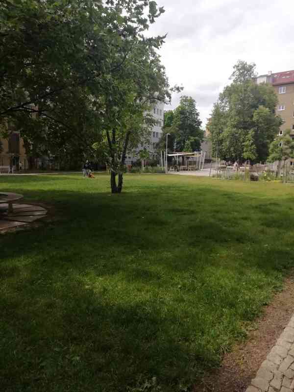 Pronájem bytu 1+1 v Brně, ul. Botanická - foto 9