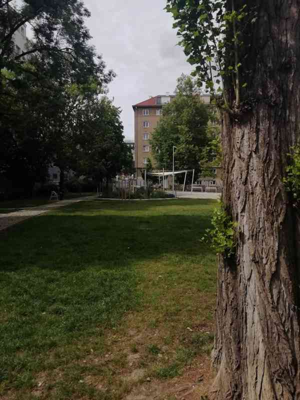 Pronájem bytu 1+1 v Brně, ul. Botanická - foto 11