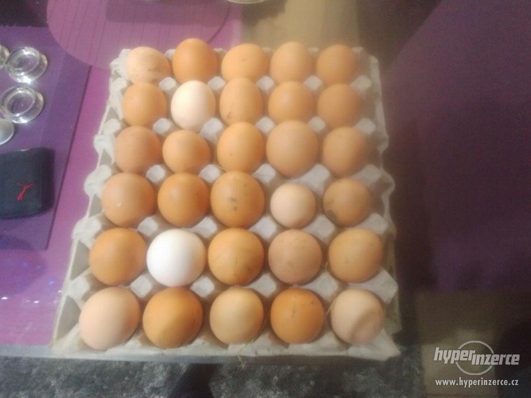 Domácí Vajíčka - foto 1
