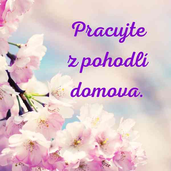 Práce z domova - foto 2