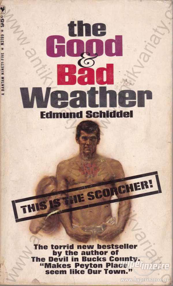 The Good & Bad Weather Edmund Schiddel 1966 - foto 1