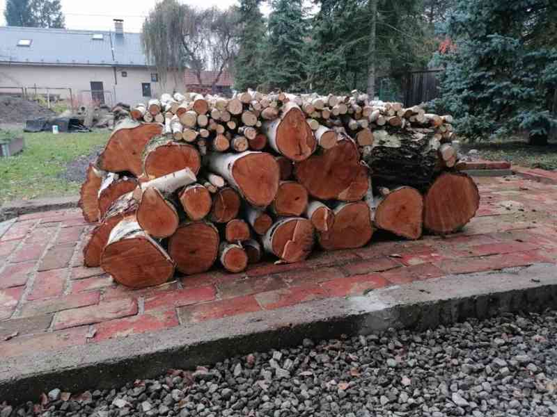 Prodej dřeva - foto 2