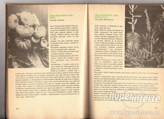 O.Bureš - Pěstujeme pokojové rostliny - 1979 - foto 1