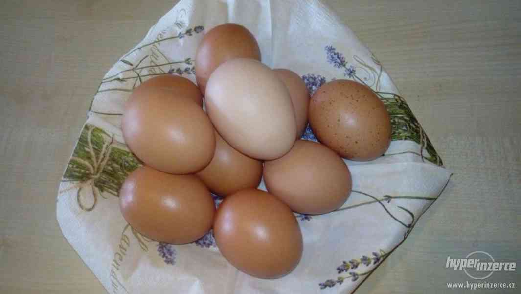prodej domácích vajec - foto 1