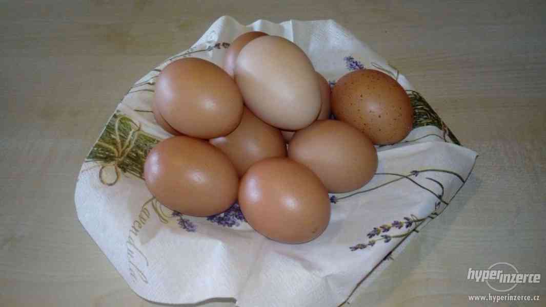 prodej domácích vajec - foto 2