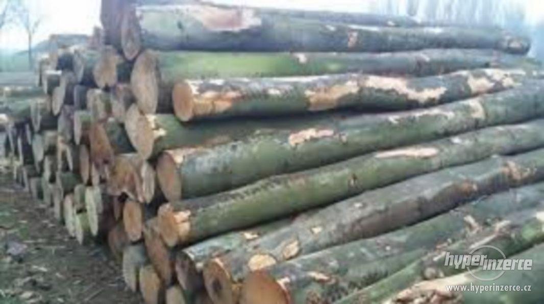 Poptáváme dřevní kulatinu na výrobu palivového dřeva