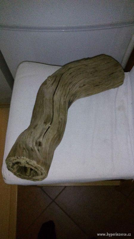 akvarijni kořeny wood japan - foto 2