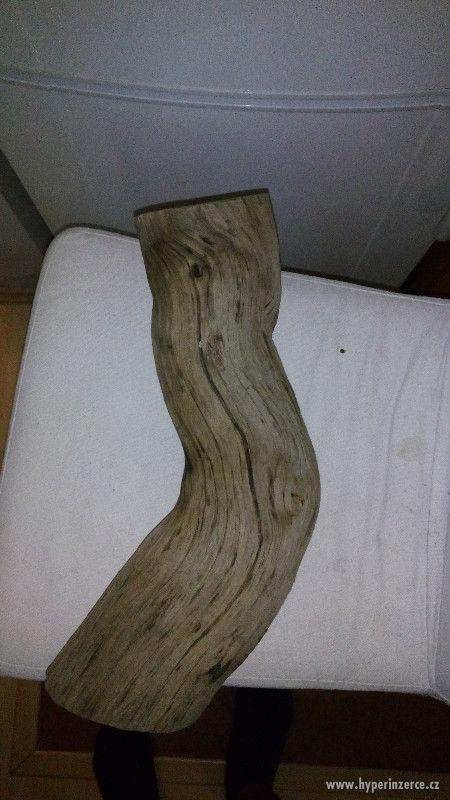 akvarijni kořeny wood japan - foto 5